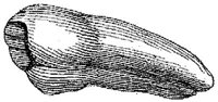 HPN122BO.JPG
