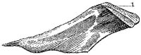 HPN122BM.JPG