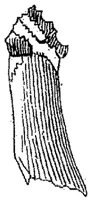 HPN122BL.JPG