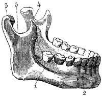 HPN122BB.JPG