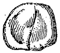 HPN122AW.JPG