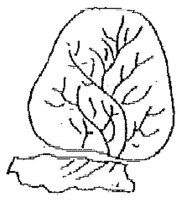 HPN122AT.JPG