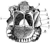 HPN122AJ.JPG