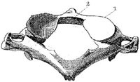 HPN122AG.JPG