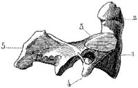 HPN122AB.JPG