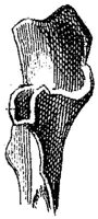 HPN121BC.JPG