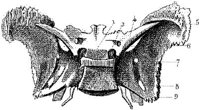 HPN121BA.JPG