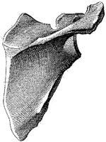 HPN121B.JPG