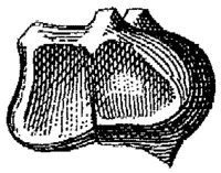HPN121AX.JPG