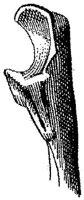 HPN121AT.JPG