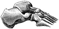 HPN121AR.JPG