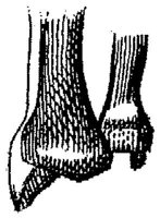 HPN121AO.JPG