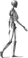 HPN121AN.JPG