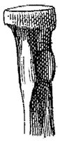 HPN121AC.JPG