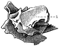 HPN120AR.JPG