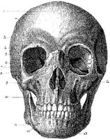 HPN120AN.JPG