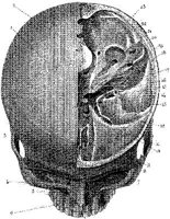 HPN120AL.JPG