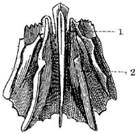 HPN120AJ.JPG