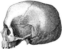 HPN119AT.JPG