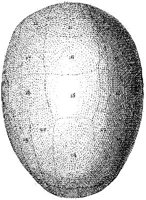 HPN119AS.JPG