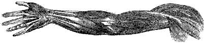 HND079A.JPG