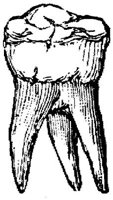 EAC170L.JPG
