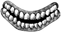 EAC170F.JPG