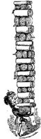 HVS075B.JPG