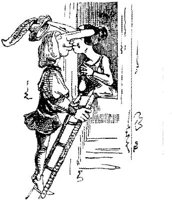 HVS029D.JPG