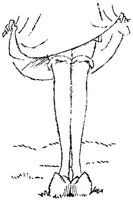 SIL007N.JPG