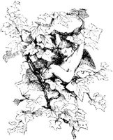 VSI034I.JPG