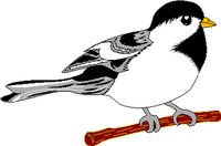 CHICKADE.WMF