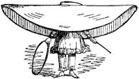 HVS038C.JPG