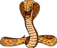 COBRA.WMF