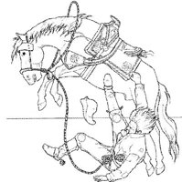 CBW015A.JPG