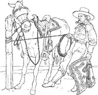CBW014A.JPG