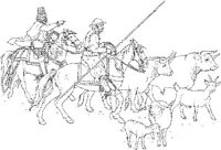 CBW004A.JPG
