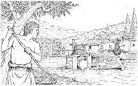 AGR025A.JPG