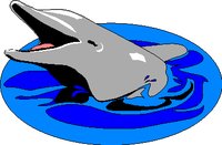 DOLPHIN.WMF