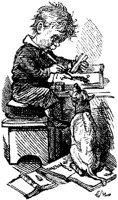 HVS082F.JPG