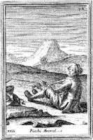 AMI073A.JPG