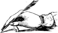 OBK018J.JPG