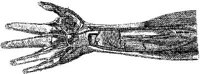 HPN133AK.JPG
