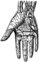 HPN132AC.JPG