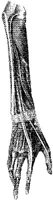 HPN127AN.JPG