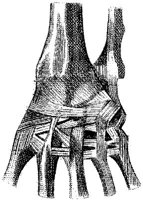 HPN125AN.JPG