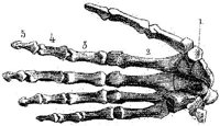 HPN122AX.JPG