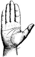 HND072I.JPG