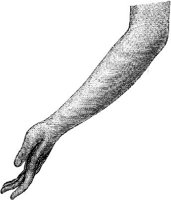 HND064H.JPG