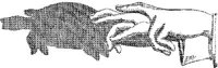HND059K.JPG